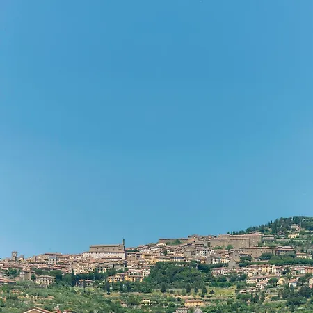 Girasole * Cortona